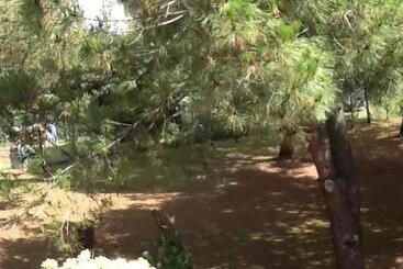 تختخواب و صبحانه Campo Alle Monache