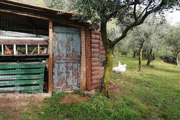 هتل Agriturismo Conte Brunello