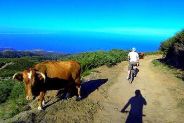 پانسیون Madeira Native Motion Guest House