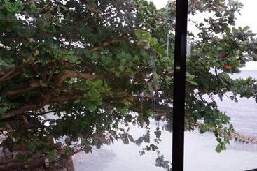 Sascha S Resort Oslob
