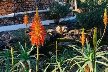 Villa Morera Bed & Breakfast