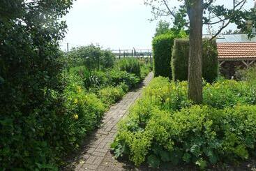 B&b De Kleine Wijngaard