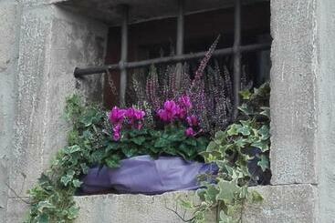 B&b Il Belvedere