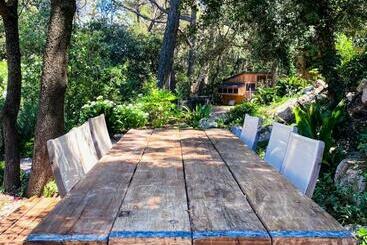 تختخواب و صبحانه La Villa Dupont D Avignon