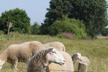 B&b Het Wouwe