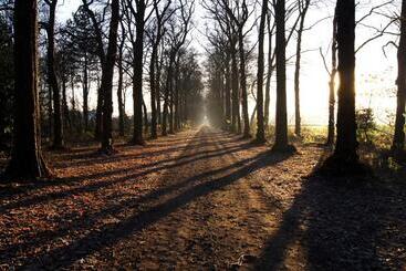 B&b Het Wouwe