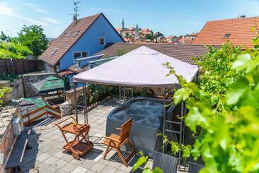 Mikulov   Inn   Hotel S Vinným Sklepem Venuše