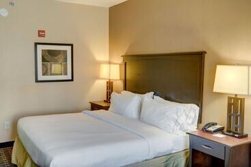 Holiday Inn Express Hotel & Suites Texarkana East, An Ihg