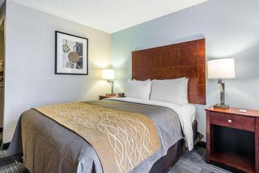هتل Comfort Inn Sw Omaha I80
