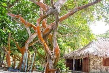هتل San Pedro De Majagua