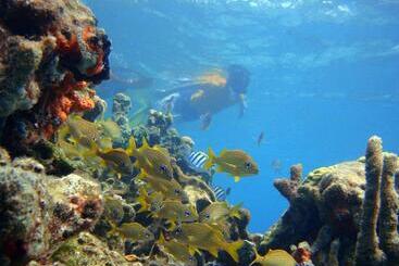 هتل San Pedro De Majagua