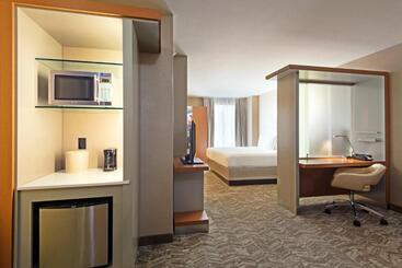 هتل Springhill Suites Louisville Downtown