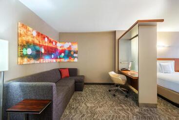 هتل Springhill Suites Louisville Downtown