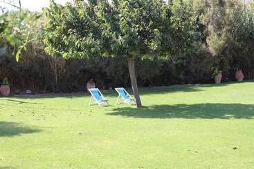 Ammos Naxos Exclusive Apartments & Studios