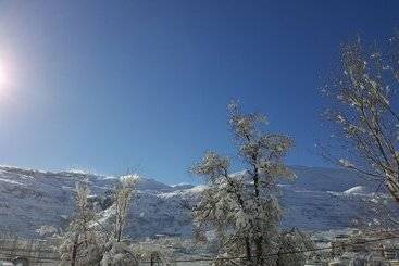 Faraya Village Club