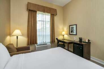 هتل Comfort Inn & Suites