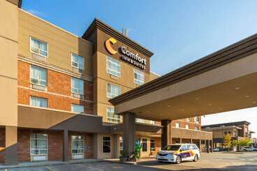 هتل Comfort Inn & Suites