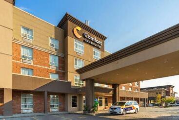 هتل Comfort Inn & Suites
