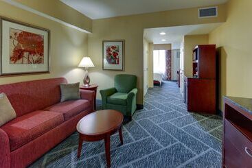 Otel Hilton Garden Inn Indianapolis Airport