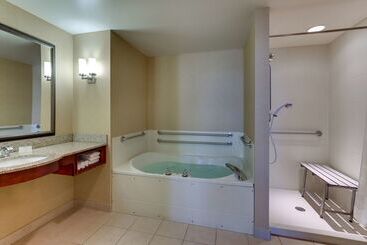 Otel Hilton Garden Inn Indianapolis Airport