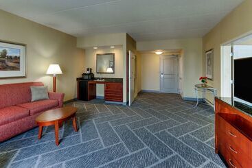 Otel Hilton Garden Inn Indianapolis Airport