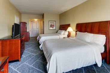 Otel Hilton Garden Inn Indianapolis Airport