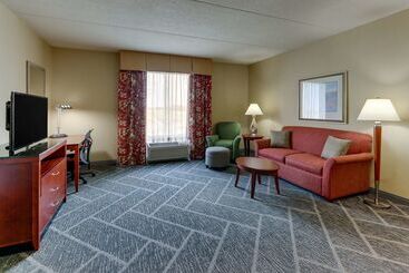 Otel Hilton Garden Inn Indianapolis Airport