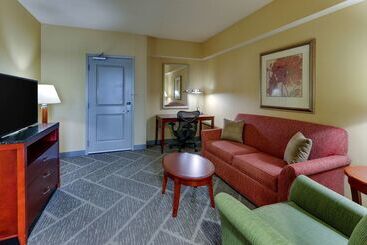 Otel Hilton Garden Inn Indianapolis Airport