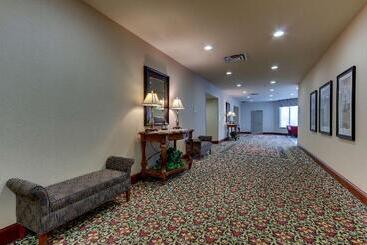Otel Hilton Garden Inn Indianapolis Airport