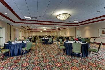Otel Hilton Garden Inn Indianapolis Airport