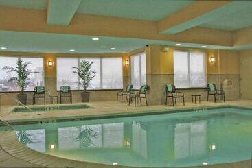 Otel Hilton Garden Inn Indianapolis Airport