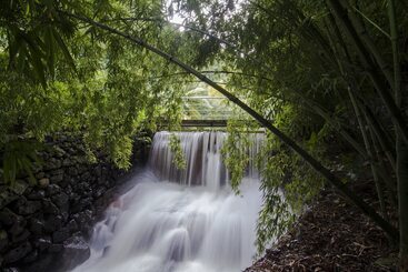 Quinta Da Mó