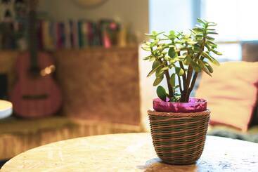 Haystack Hostel