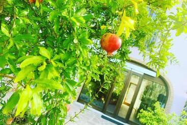 Residenza Locci  Rooms & Apartments