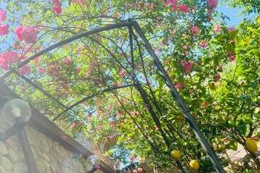 Residenza Locci  Rooms & Apartments