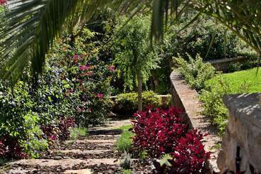 تختخواب و صبحانه Casa Vela Boutique House