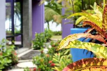 Alma Del Pacifico Hotel & Spa