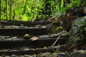 هتل Hideaway Rio Celeste