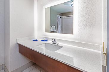 Holiday Inn Express Hotel & Suites Lafayette South, An Ihg