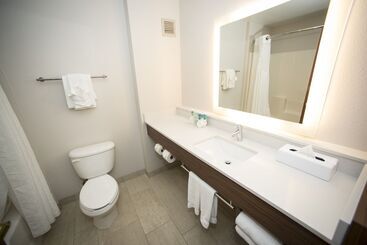 Holiday Inn Express Hotel & Suites Lexington Downtown University, An Ihg
