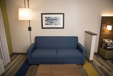Holiday Inn Express Hotel & Suites Lexington Downtown University, An Ihg