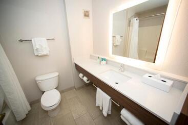 Holiday Inn Express Hotel & Suites Lexington Downtown University, An Ihg