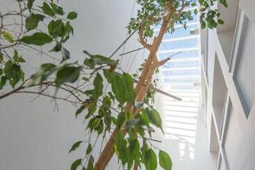 Hotel Avra City Boutique