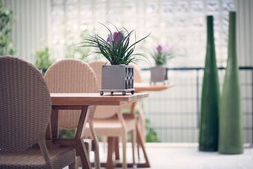 Hotel Avra City Boutique