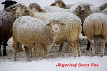 هتل Garni Jägerhof