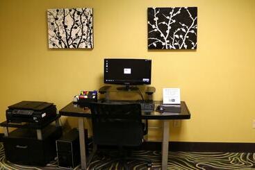 Holiday Inn Express Hotel & Suites Saginaw, An Ihg
