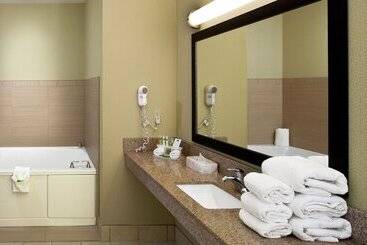 Holiday Inn Express Hotel & Suites Saginaw, An Ihg