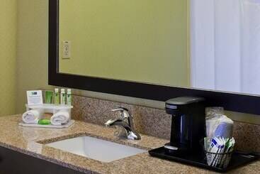 Holiday Inn Express Hotel & Suites Saginaw, An Ihg