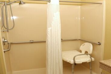 Holiday Inn Express Hotel & Suites Saginaw, An Ihg