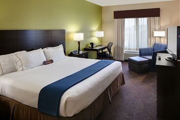 Holiday Inn Express Hotel & Suites Saginaw, An Ihg